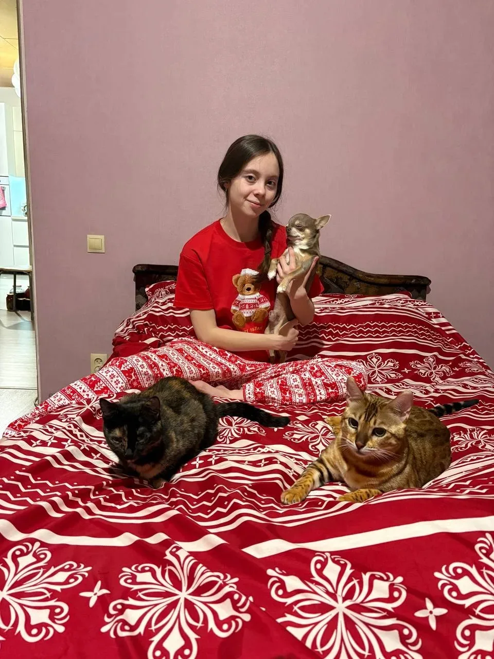 🤣 Кошачья идиллия и очередь к миске. Самый свежий привет от Бенты и Амура! 💕  Друзья, ловите свежий,