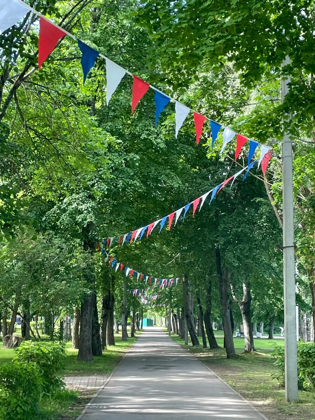 ##ПЛАН РАБОТЫ НА НЕДЕЛЮ С 15 ПО 19 ИЮНЯ

✅15 июня прием в 10-й класс СК 
✅16 июня ОГЭ /химия, геогра