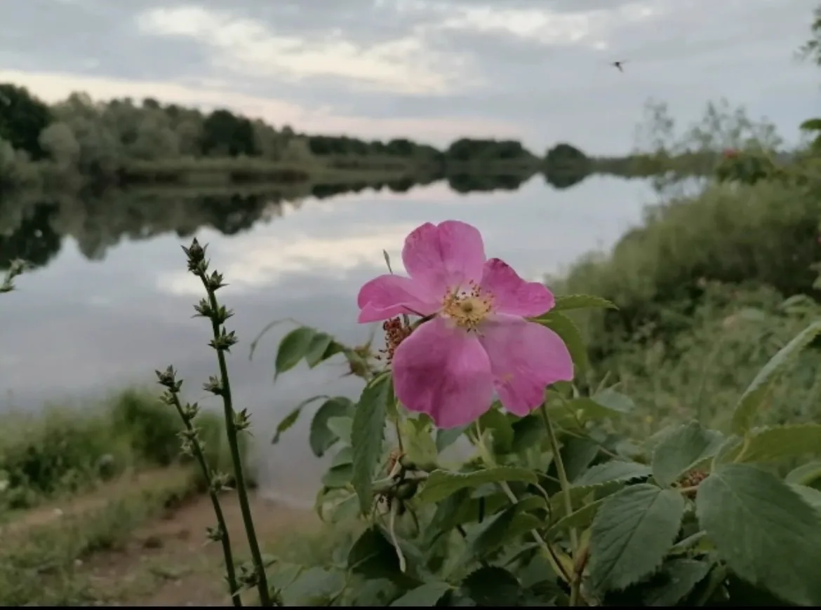 Доброе утро, туймазинцы! 🌥️
Желаем вам легкого завершения рабочей недели. Впереди два летних выходн