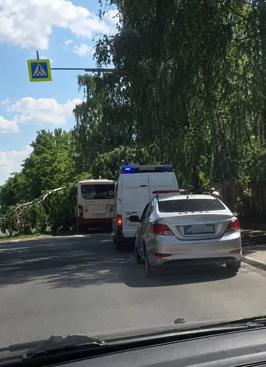В подмосковном Щелково дерево упало на автобус. 

Об этом сообщают очевидцы. Инцидент произошел на у