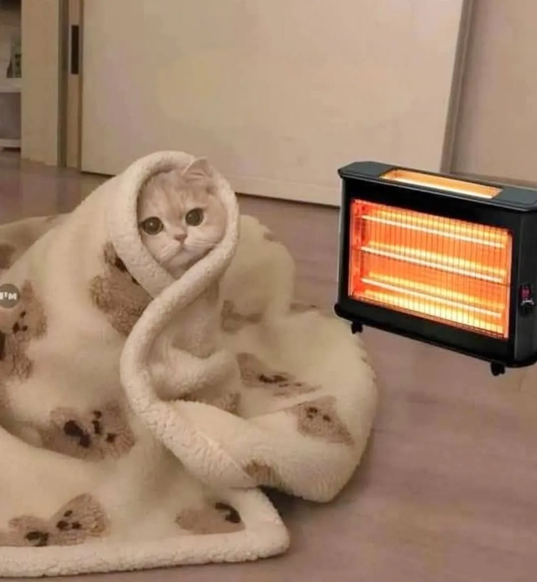 🥶Ночные заморозки могут прийти в Московский регион во второй декаде сентября, — синопт...