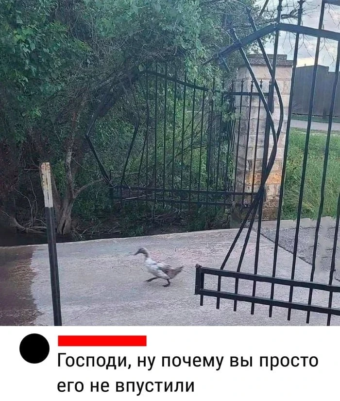 Подписаться