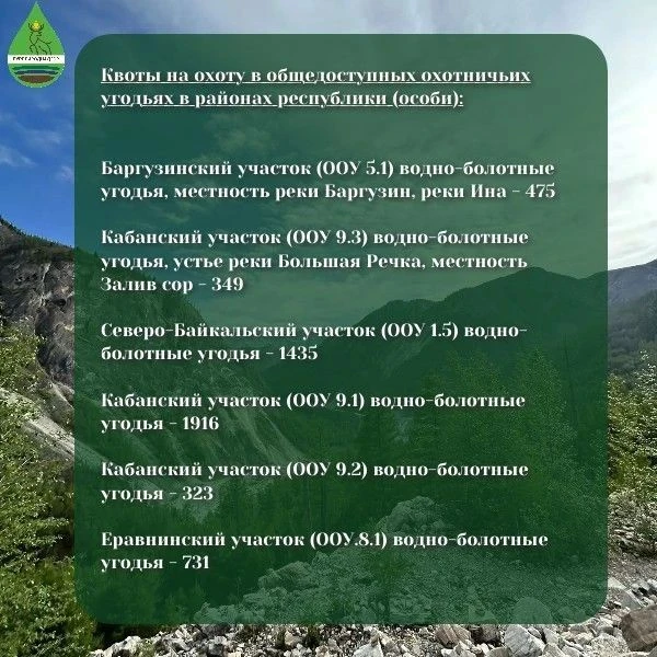 📣Стартовала выдача
