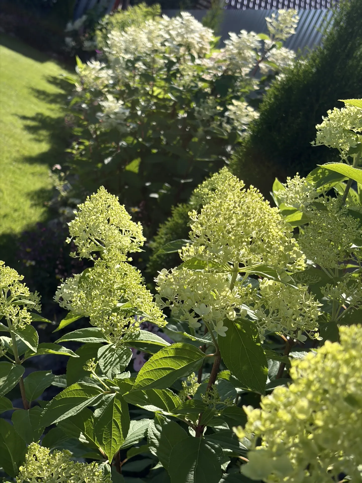Солнышка вам в ленту ☀️✨🌸