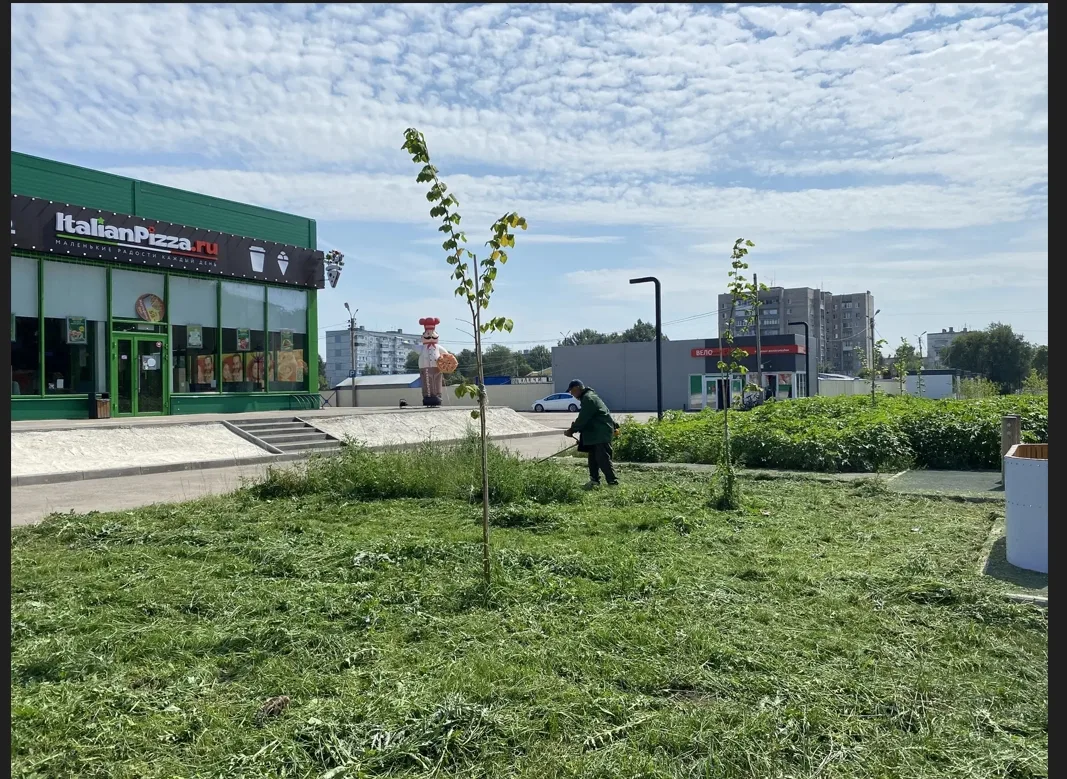 В Отрадном прошли мероприятия по ликвидации амброзии на территории города.

Потрачено несколько метр