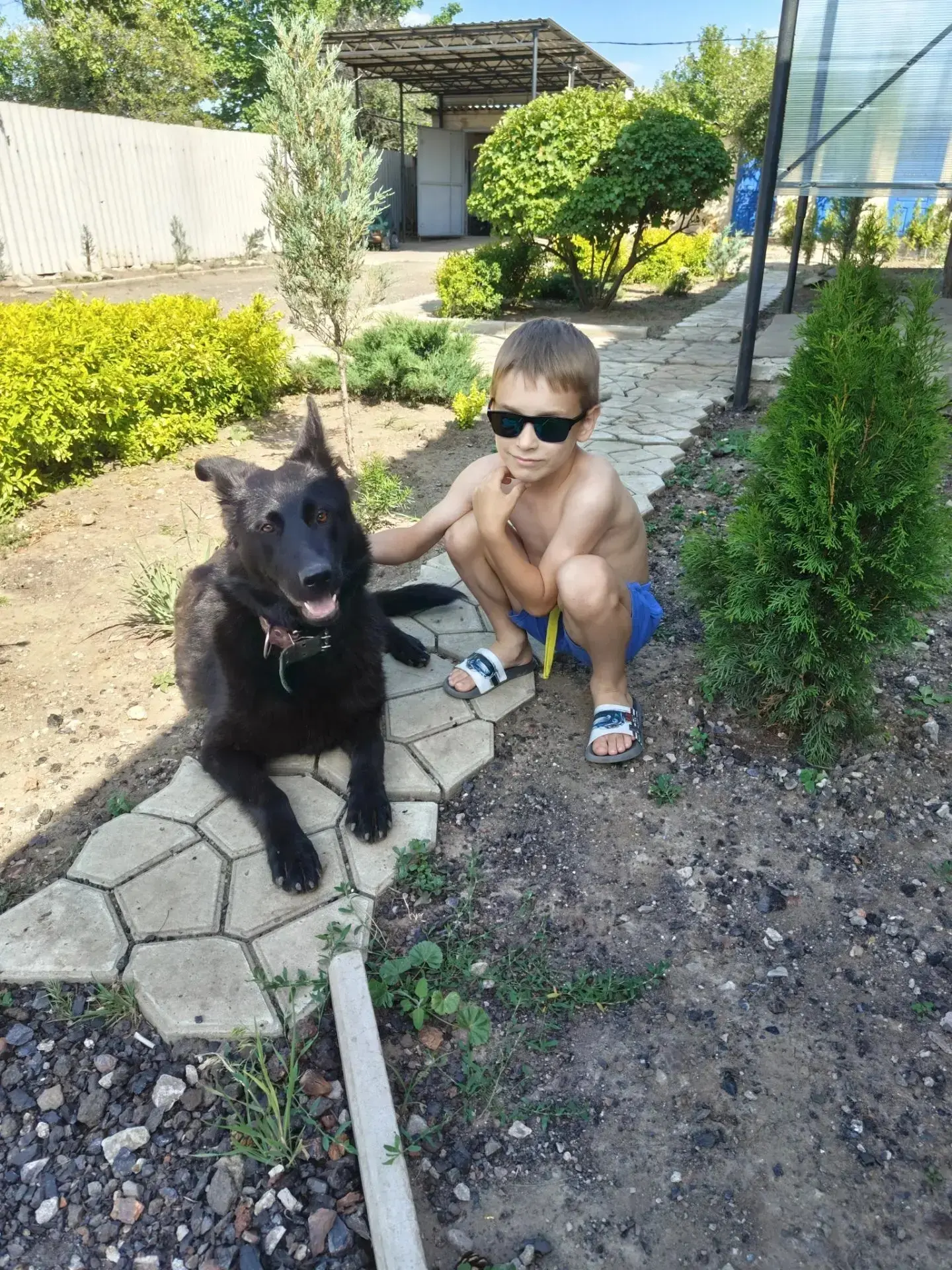 🐾 Всемирный день собаки: наши самые верные друзья 🐾
  
  Сегодня особенный день — Всемирный день с