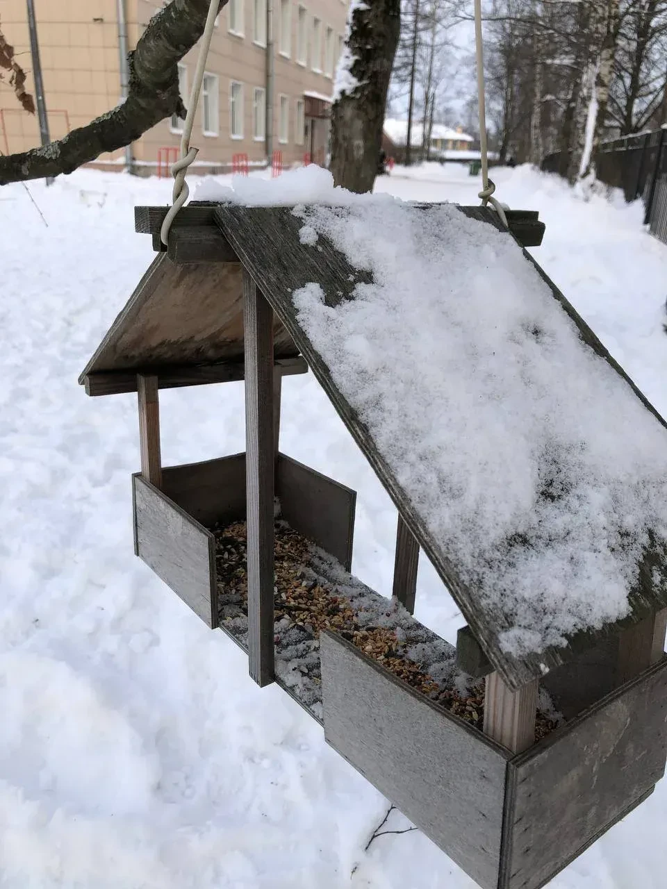 Помогаем зимующим птицам вместе! 🐦❄️ 2Аа продолжает работать над проектом "Поможем зимующим птицам" 