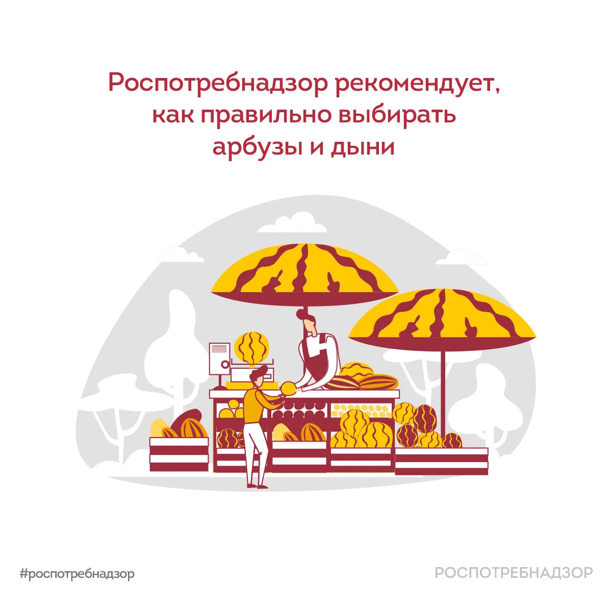 Сезон бахчевых культур начался. Чтобы купить качественные и безопасные арбузы и дыни, с...