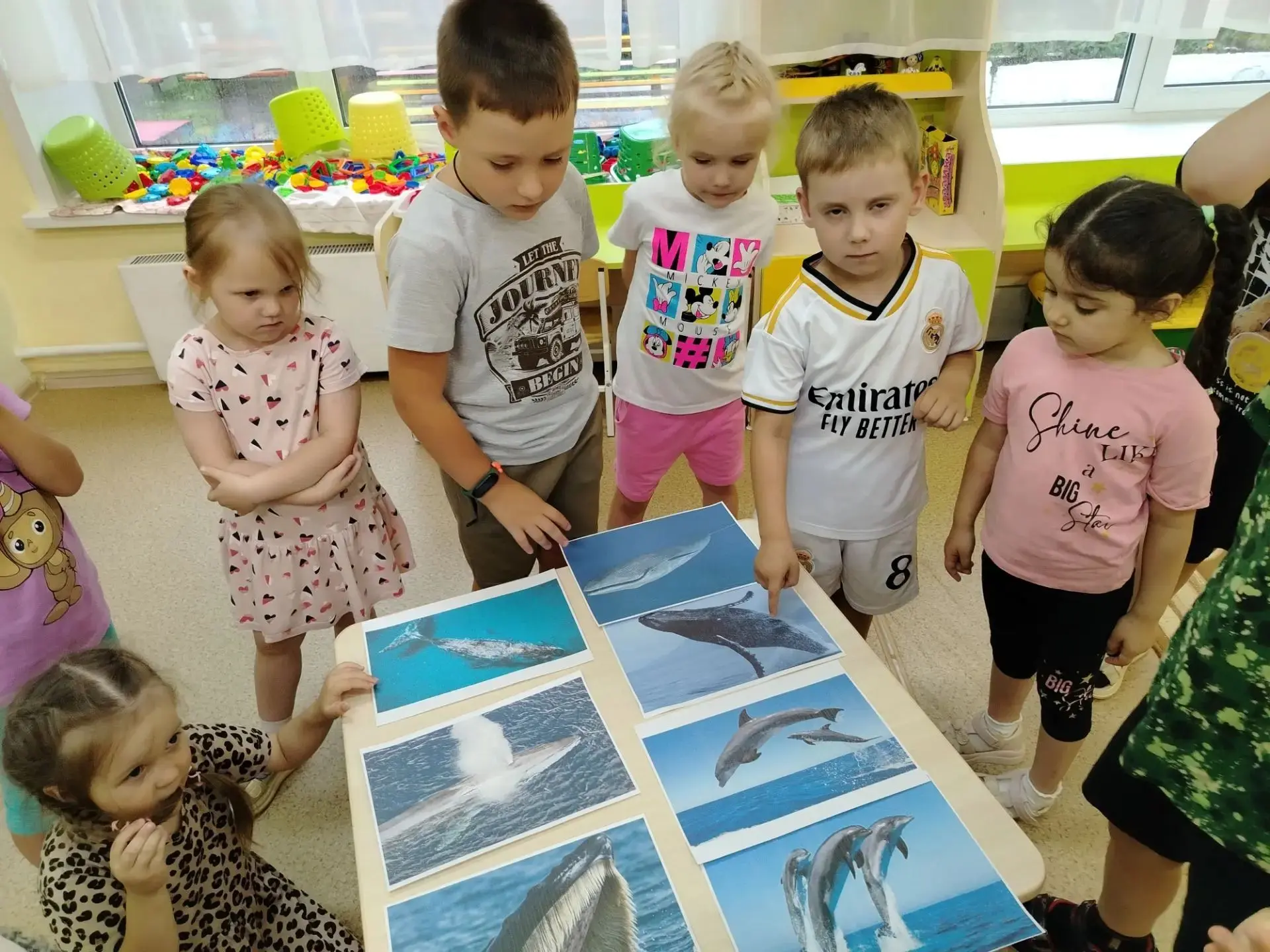 Всемирный день китов и дельфинов отмечается ежегодно 23 июля

🐬 В преддверии этого праздника в стар