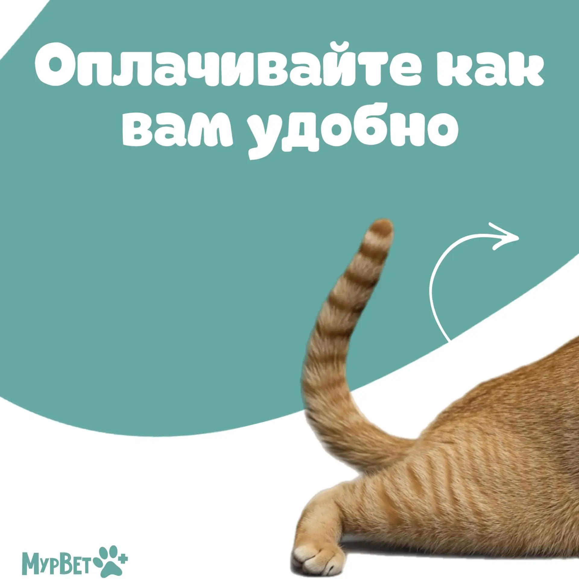 Ждем вас ❤️