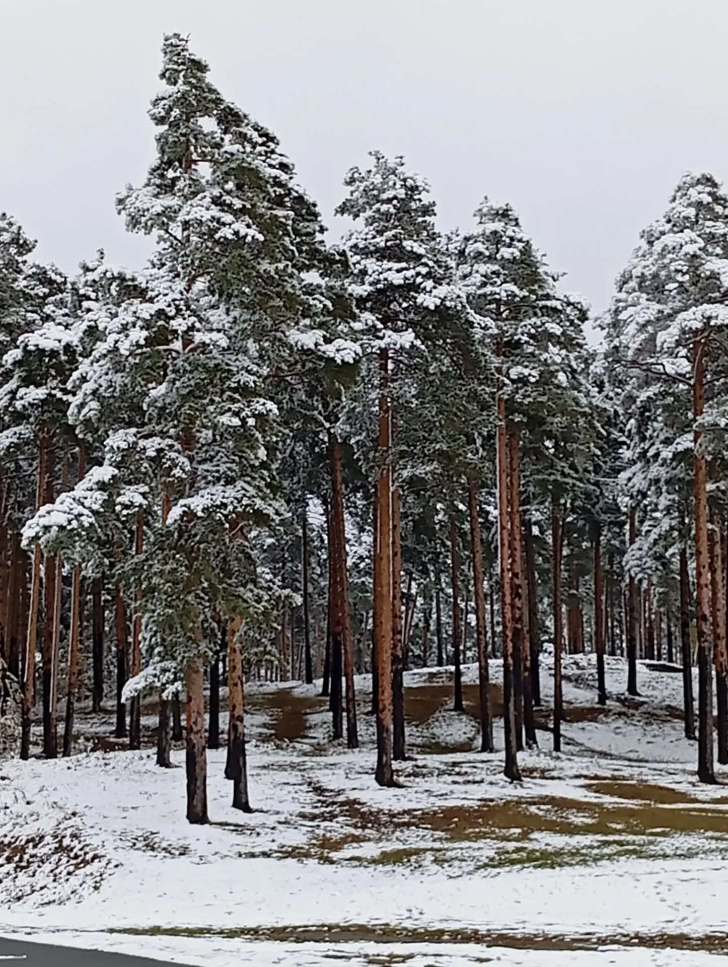 Октябрьская красота😍