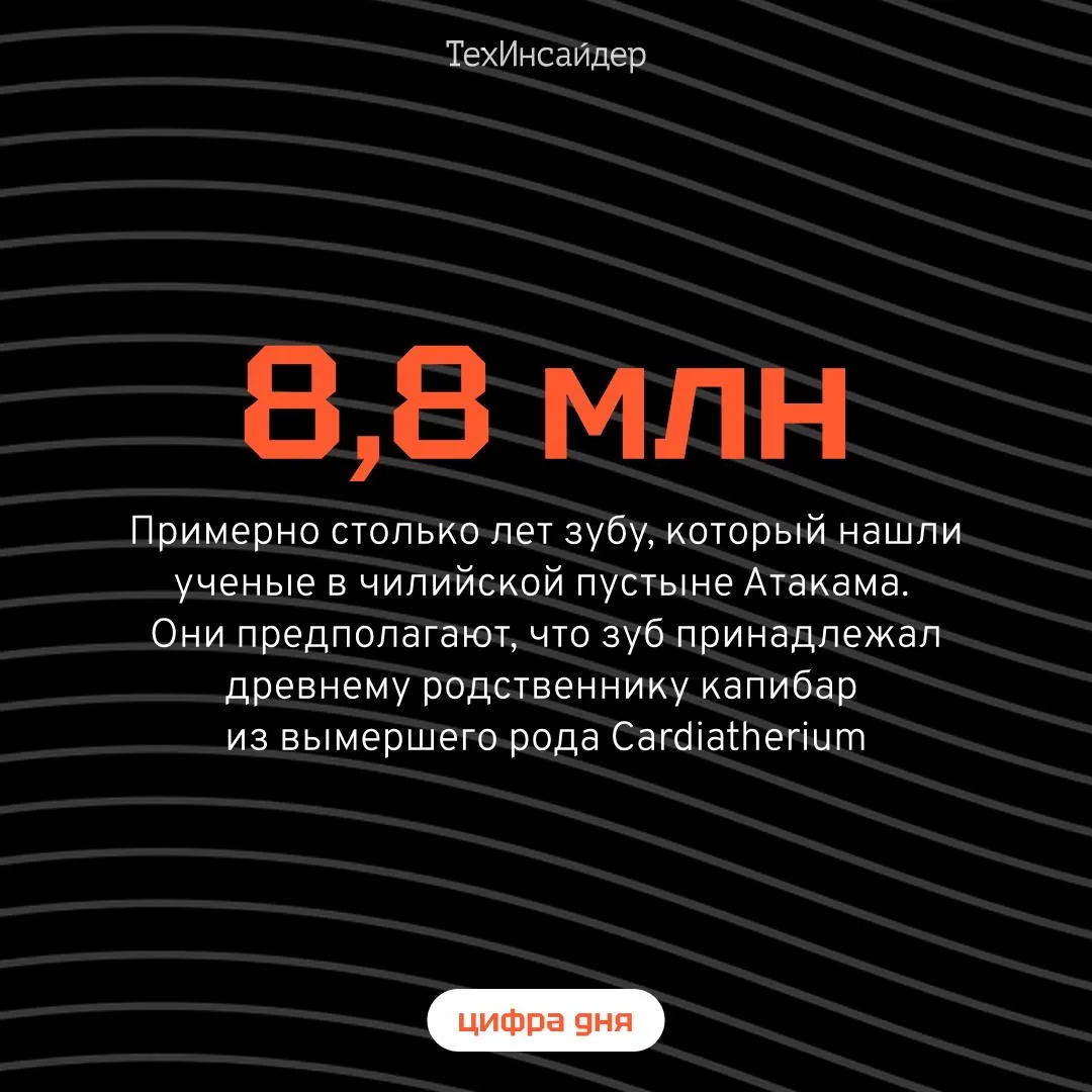 Ученые предполагают, что около 9 миллионов лет назад на некоторых участках нынешней Ата...