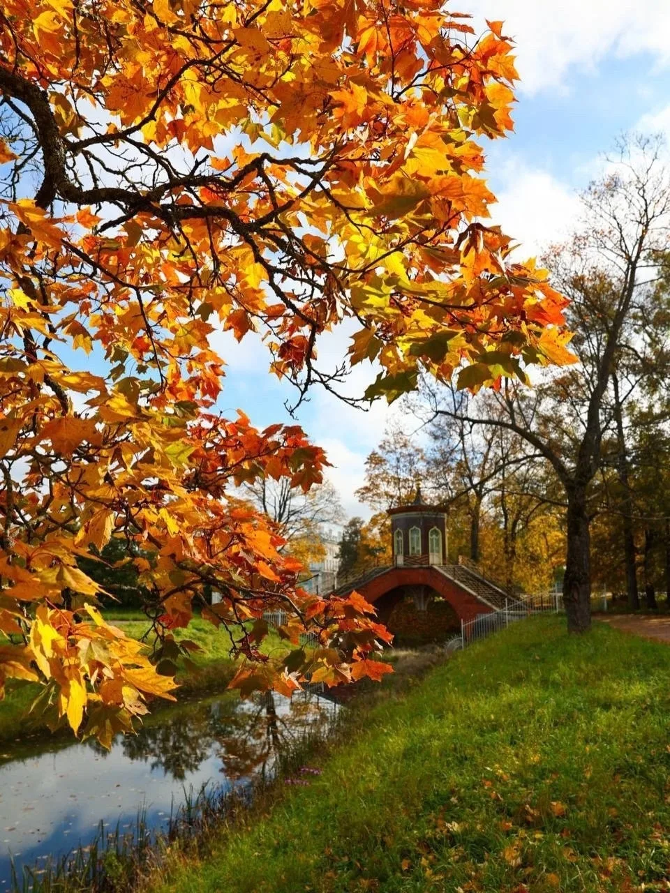 Крестовый мост, Царское село — как красиво все выглядит в осенних тонах  🍃