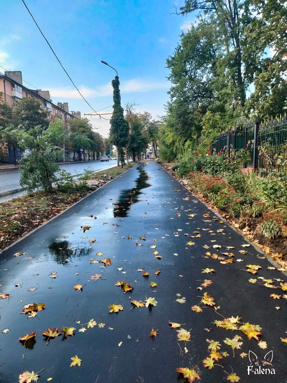 ✨Начинаем день с гороскопа✨