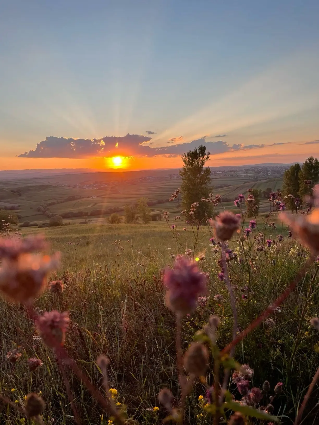 Практический совет