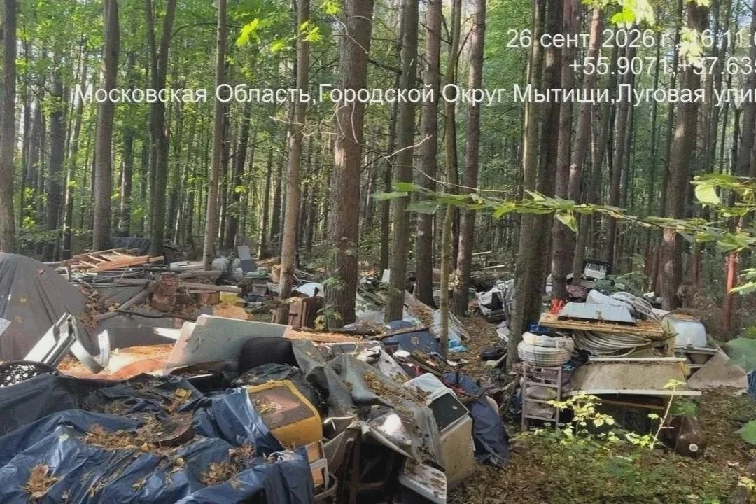 🌳 В Мытищах убрали крупную свалку в Хлебниковском лесопарке