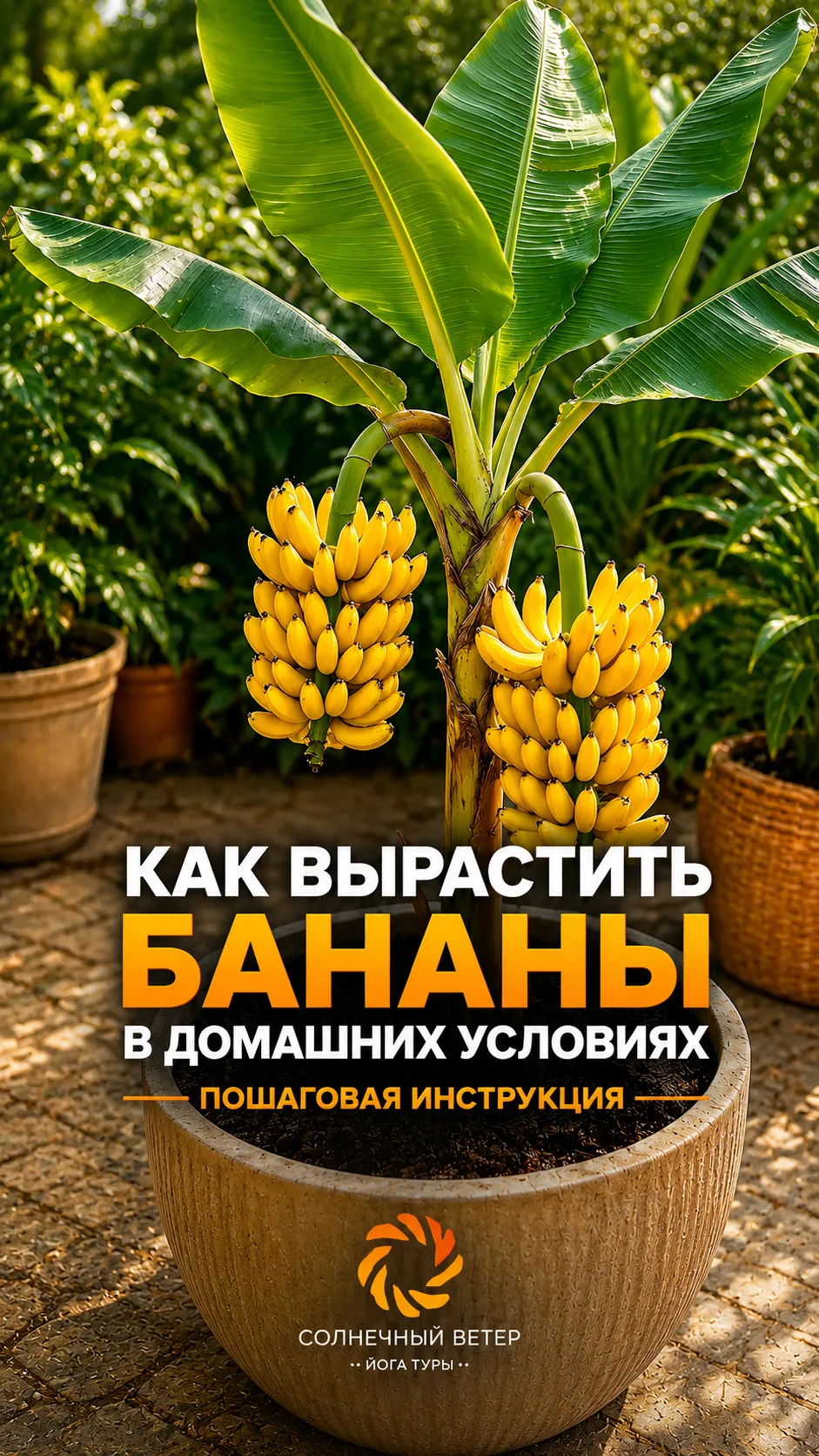 🍌 Говорят, дома ничего не растёт…