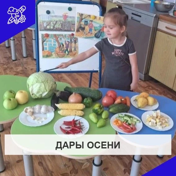 Познавательно-исследовательская деятельность в средней группе по теме "Что нам осень пр...
