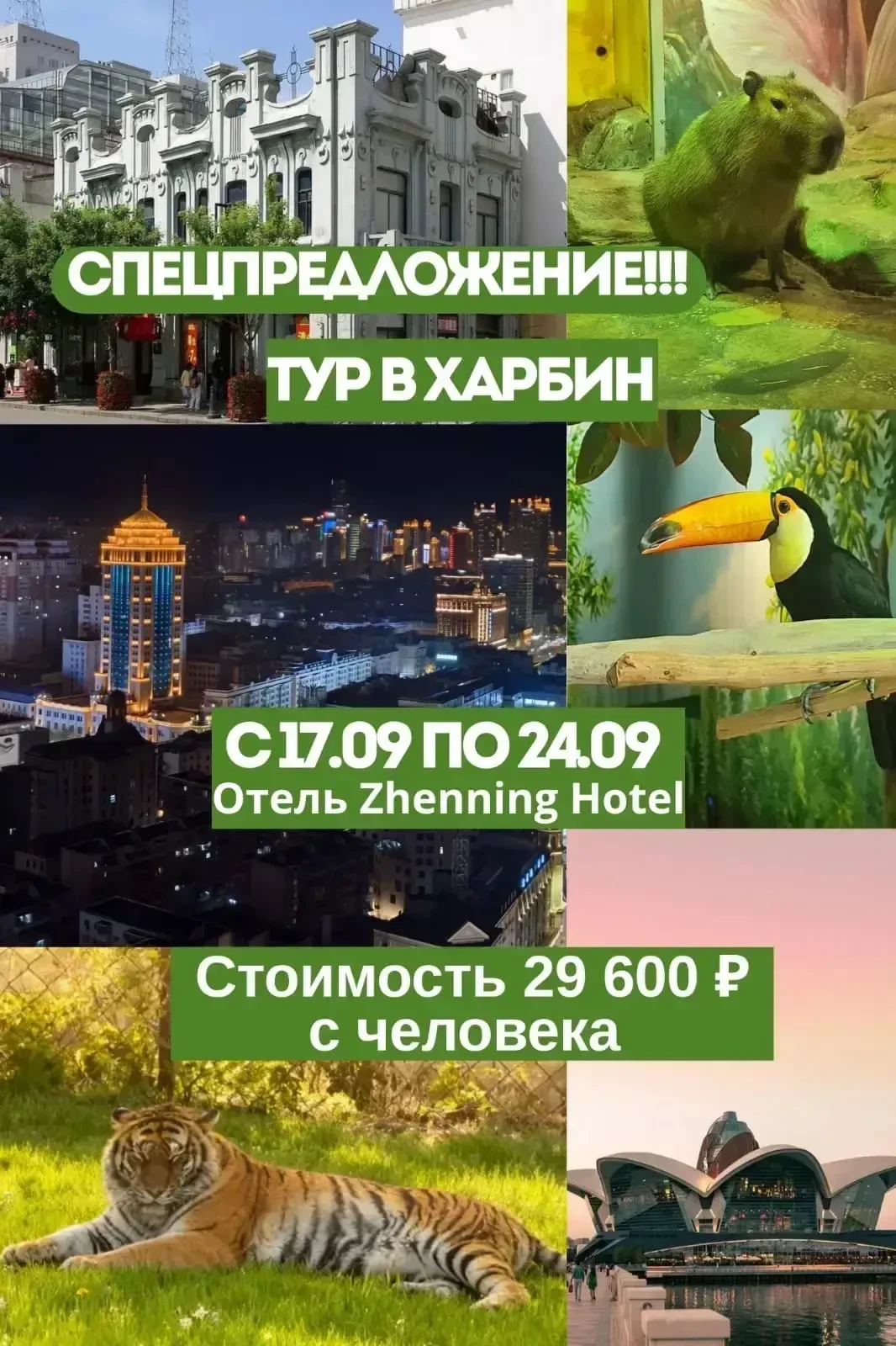 ‼️‼️СПЕЦПРЕДЛОЖЕНИЕ, тур в Харбин (Китай)‼️‼️