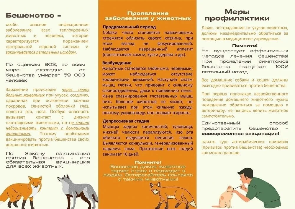 ⚠️ Важная информация!