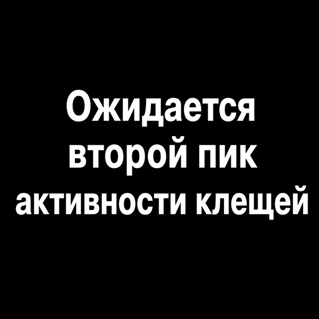 В Нижегородской области ожидается второй пик активности клещей