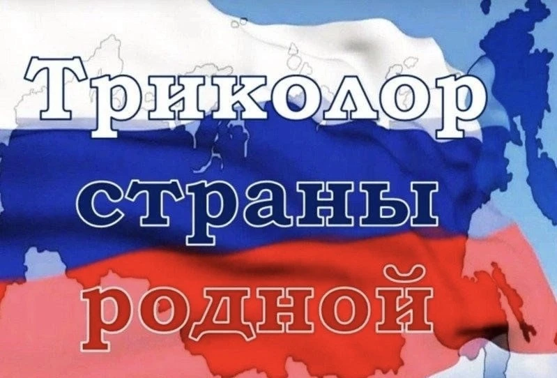 21 августа в ГБДОУ «ДЕТСКИЙ САД № 23 Г.О. ХАРЦЫЗСК» ДНР прошла акция «Триколор страны р...