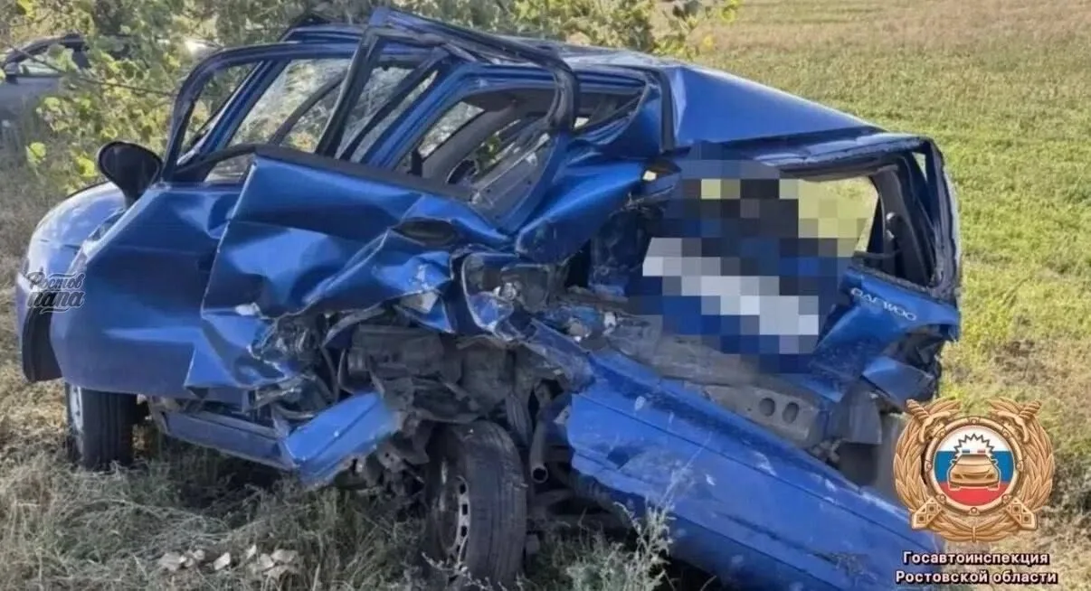 Смертельная авария произошла в Багаевском районе утром 2 октября. Как сообщили в ГАИ, о...