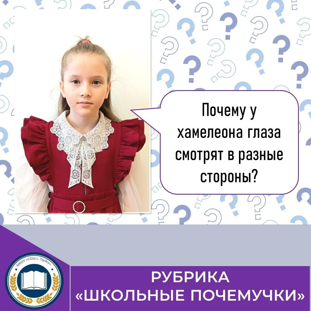 🌟 Продолжаем рубрику «Школьные почемучки»! 🌟