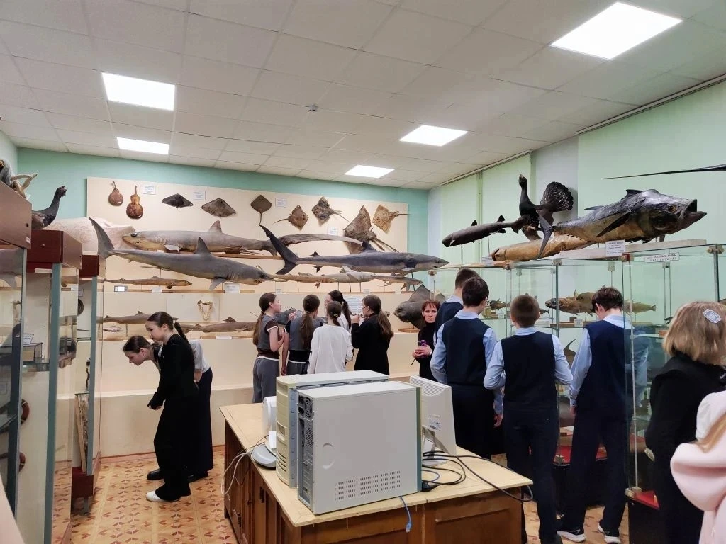 Сегодня, 23 апреля , ученики 6 В класса посетили Зоологический музей при МарГУ, где для них открылос