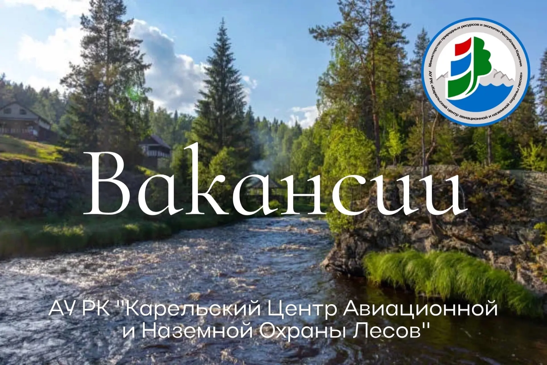 ⚡️ Мы ищем специалистов в команду!