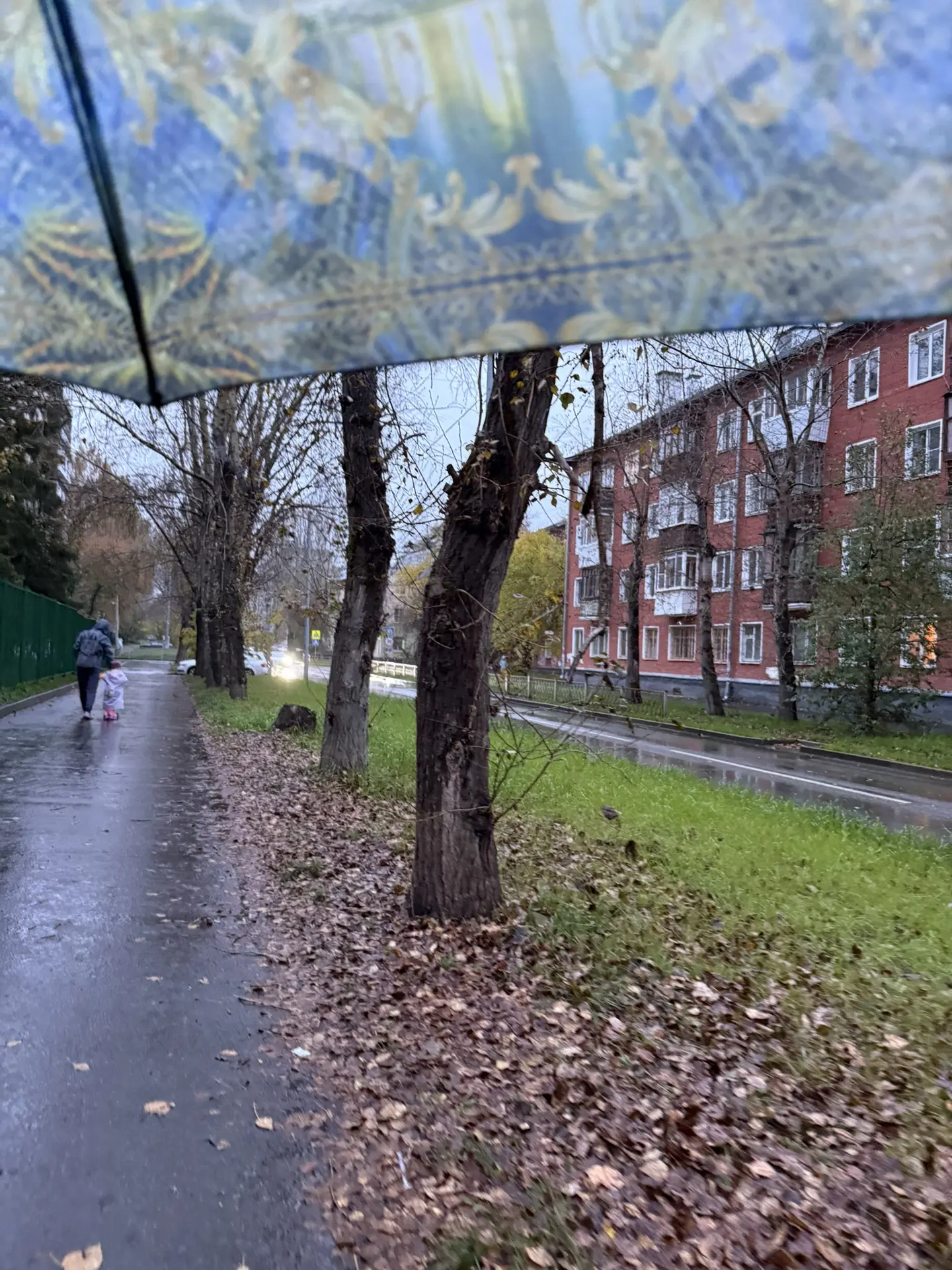 Доброе утро, мои дорогие читатели ☀️
