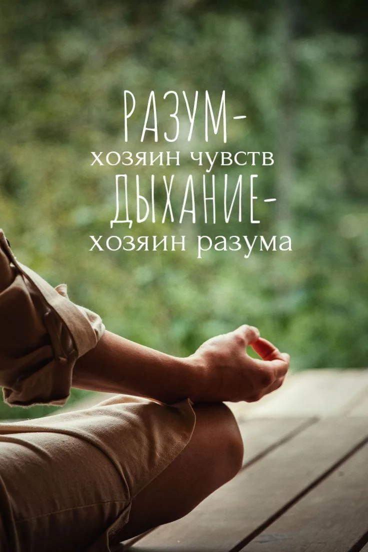 Замечали ли вы, что в моменты волнения или спешки наше дыхание становится поверхностным...