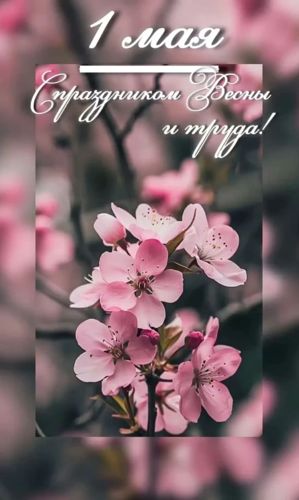 🌿 Дорогие подписчики, ученики, учителя и родители!