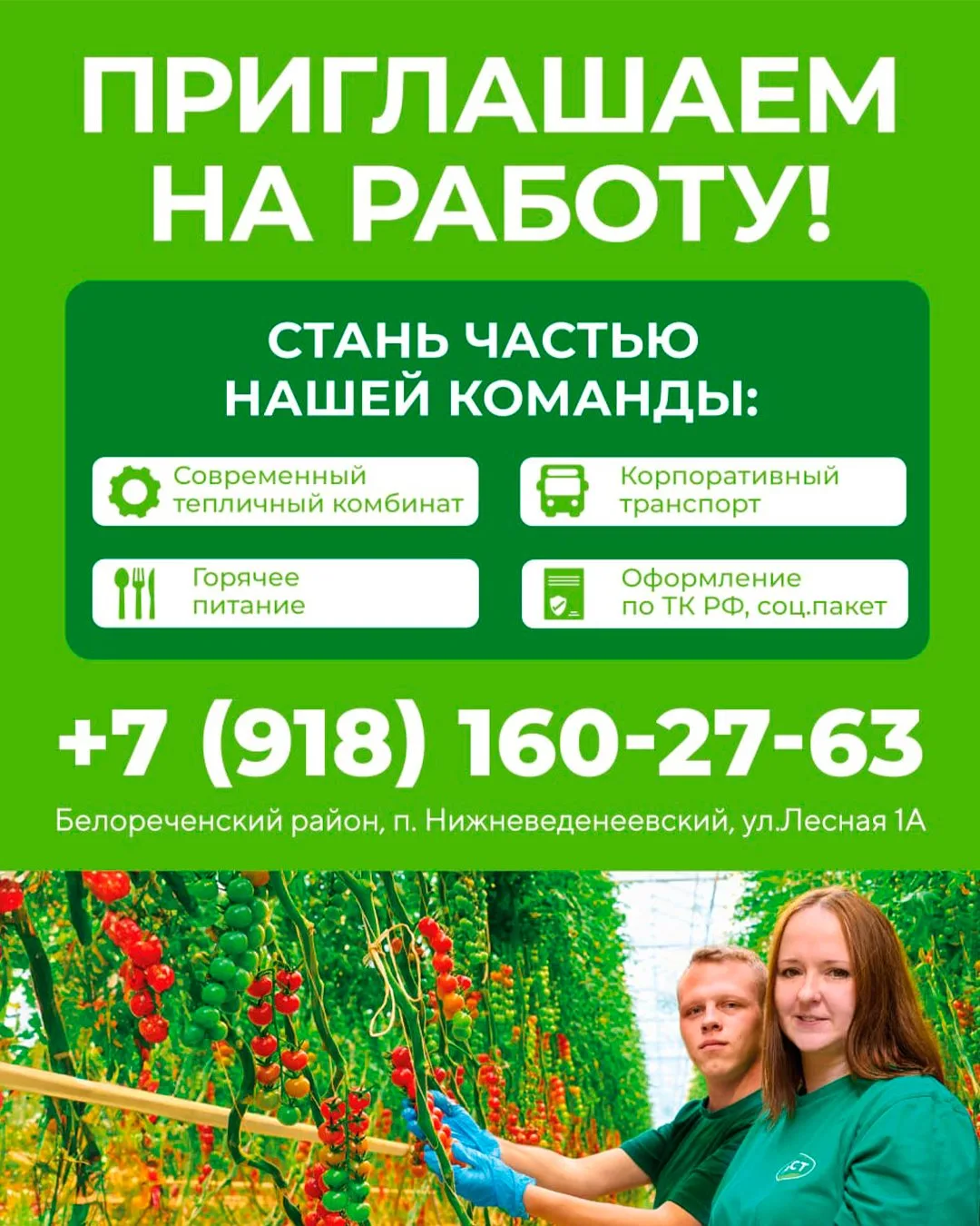 Вакансии!
