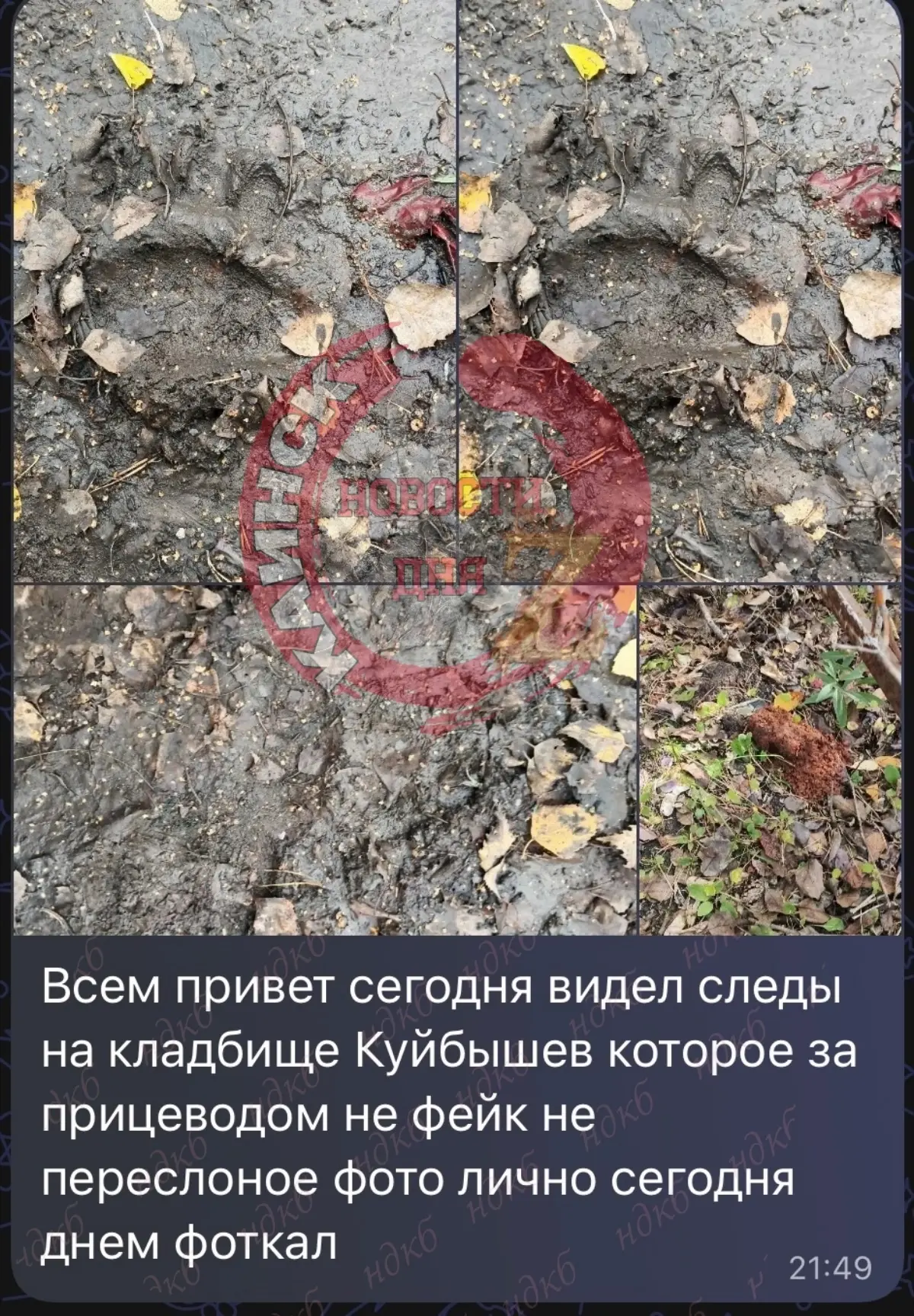 Роман здравствуйте,опубликуйте предупредить жителей города Куйбышева,вблизи городского ...