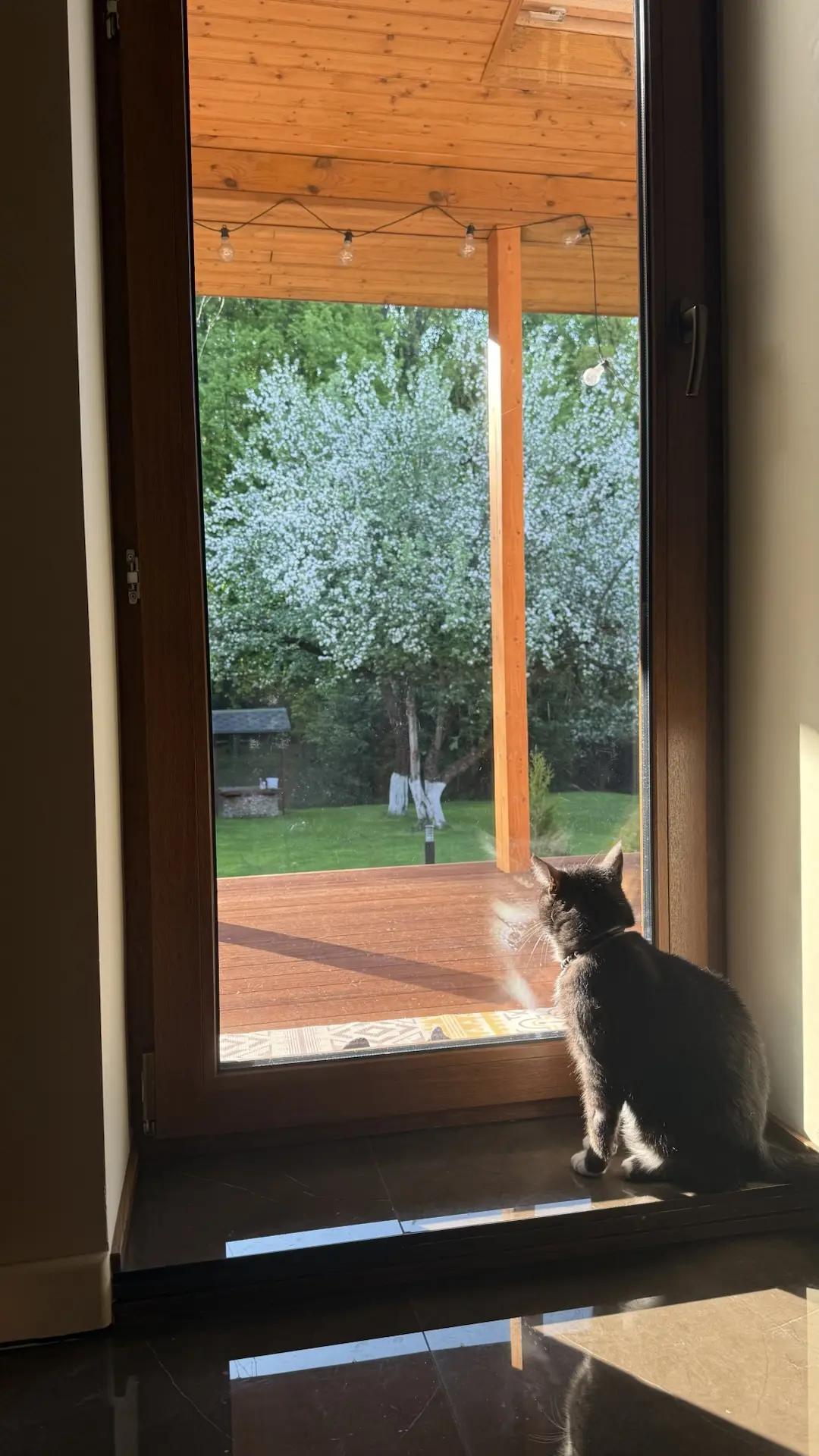 У нас яблочки в этом году, ура! 🥰