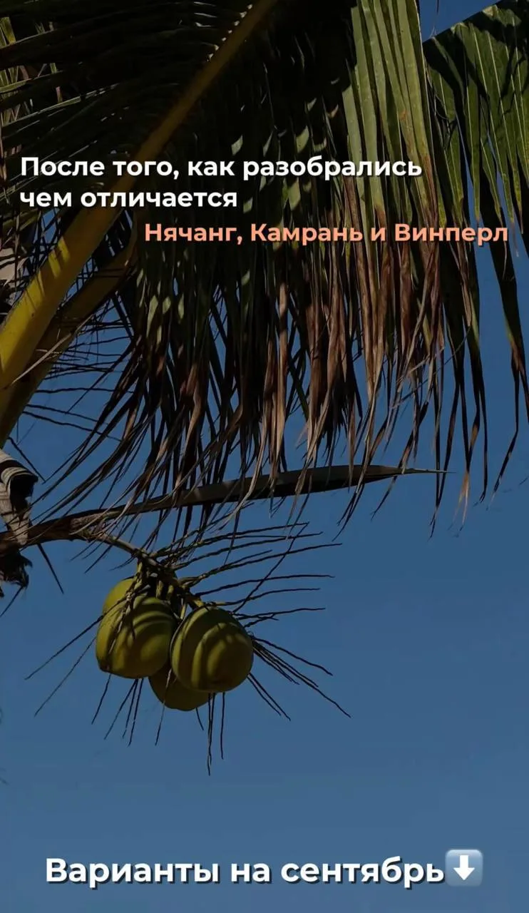 После того как разобрались, чем отличаются Нячанг, Камрань, Дананг и остров Винперл, по...