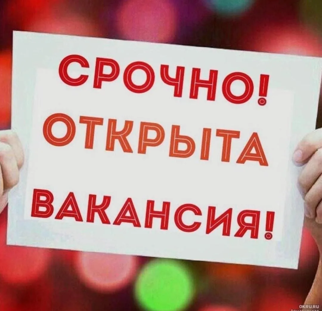 ✨ В команду нового
