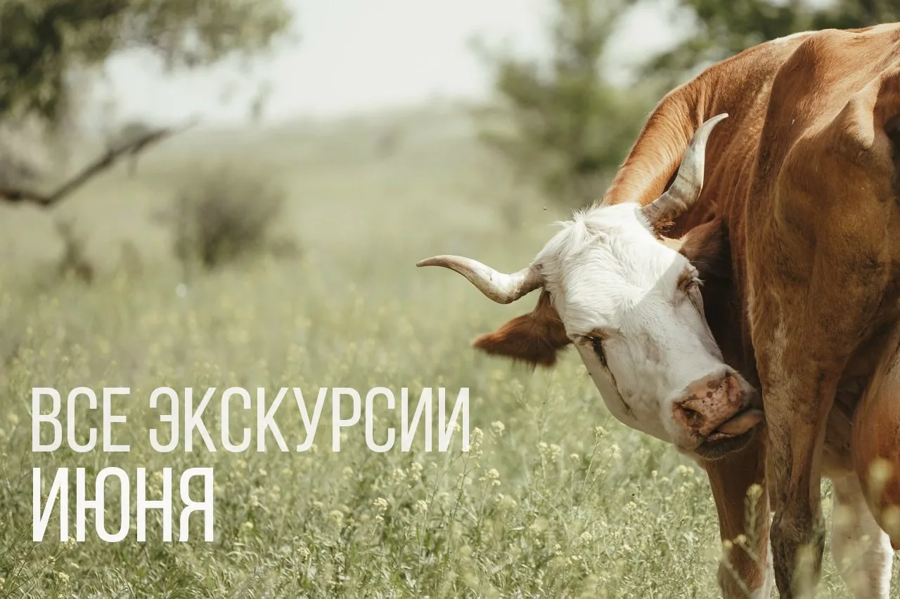 ПОЛНОЕ РАСПИСАНИЕ ИЮНЯ