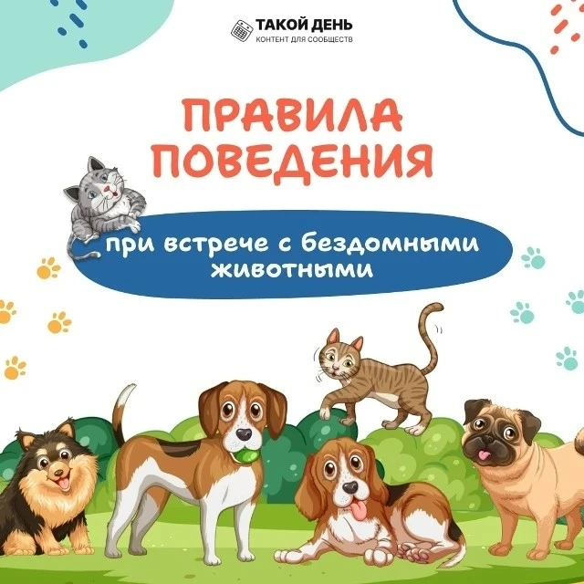 ❗Безопасность детей при встрече с бродячими собаками 🐕‍🦺 🐕 🐩