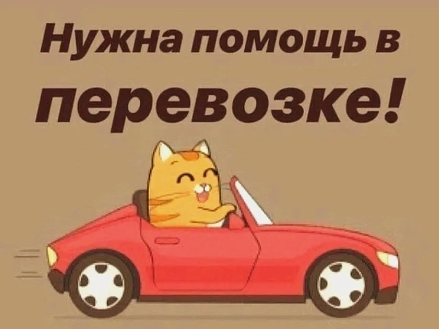 ‼️нашли кто сможет забрать ‼️