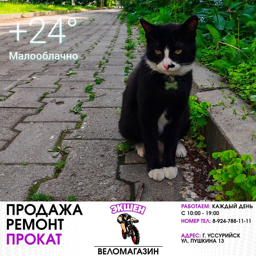 ⛅️ 12 июня