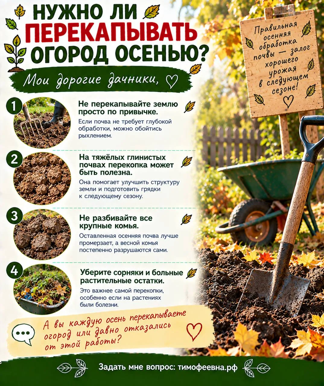 🌱 Нужно ли перекапывать огород осенью?