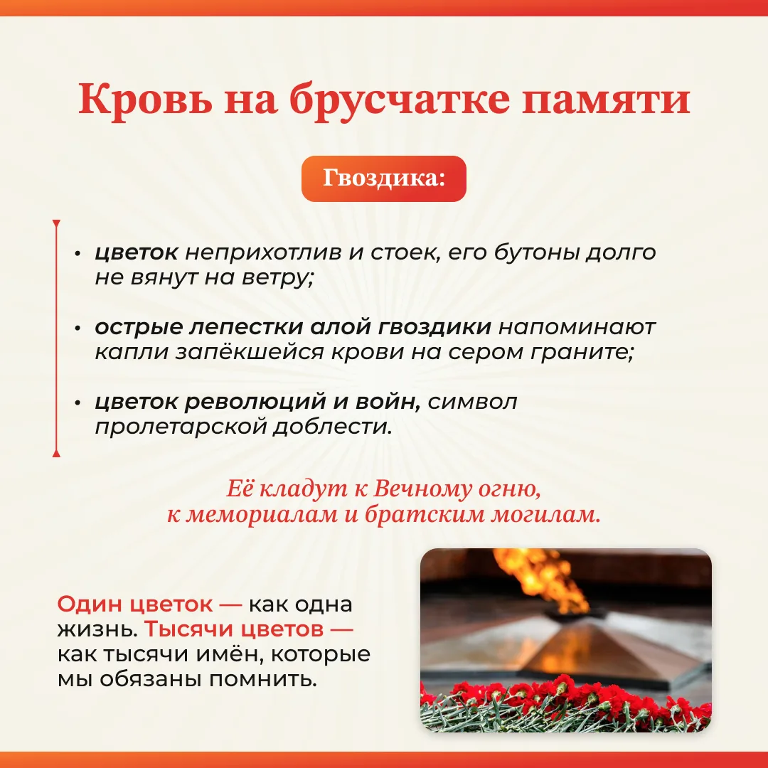 ✨С Днём Победы