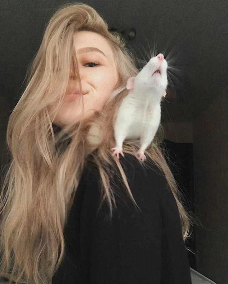 Идеи для фотосессий с крысками из Pinterest! Кажется, пора доставать реквизит 🐁 📷
