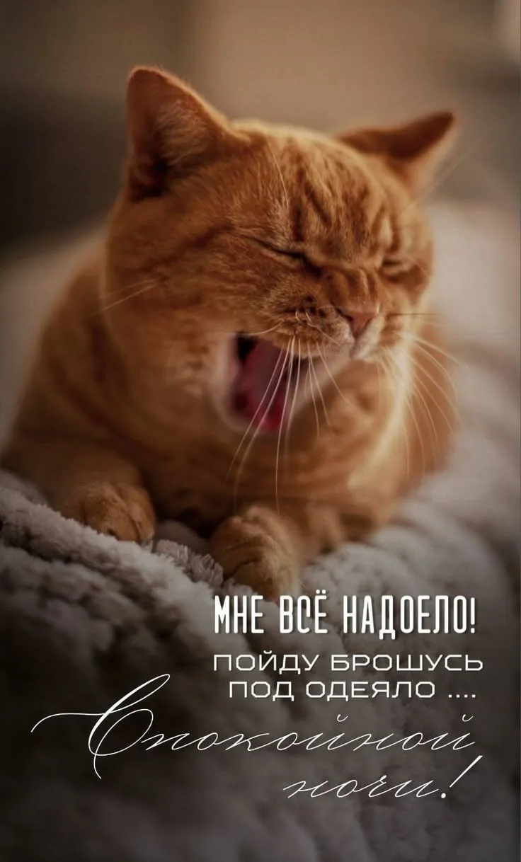 Рай открыток | Открытки 🥰