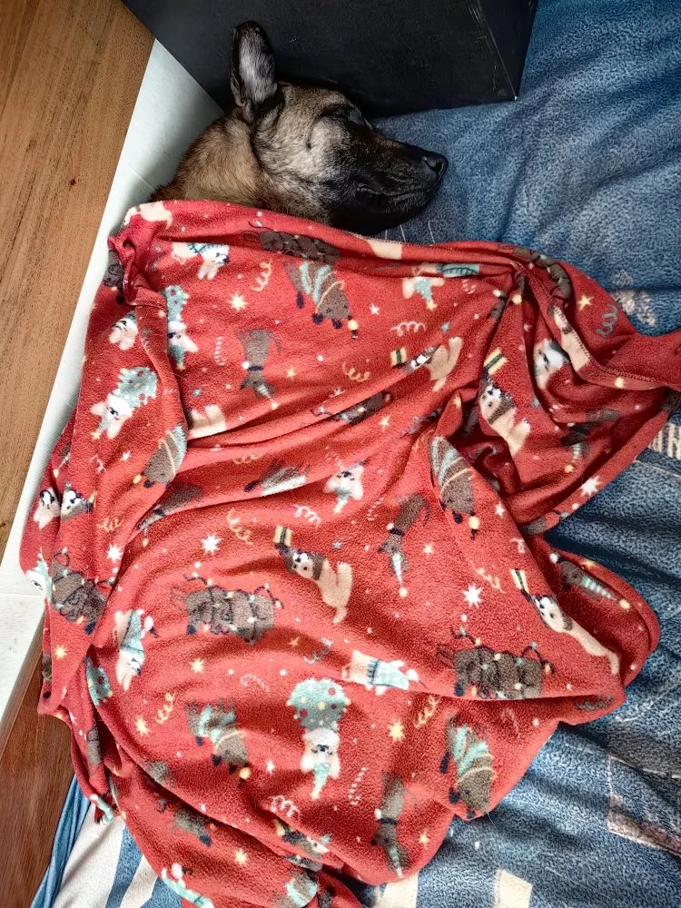 Природное кавалетти 😄