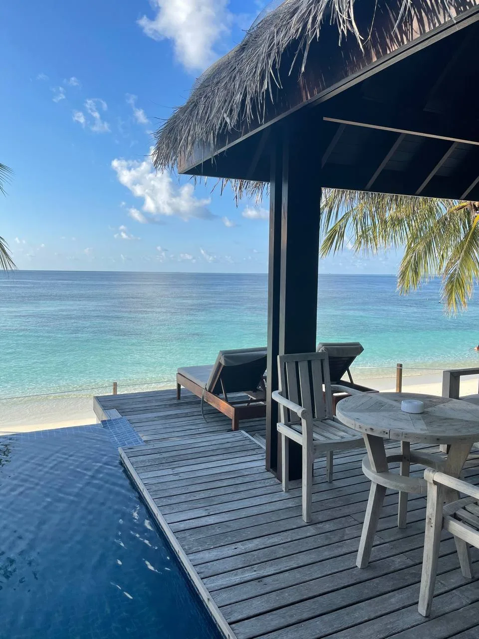 💲💲💲Мальдивы
🏨 Bandos Maldives 4 🌟

✔️Трансфер на моторной лодке всего 10 минут
✔️Есть домашний 