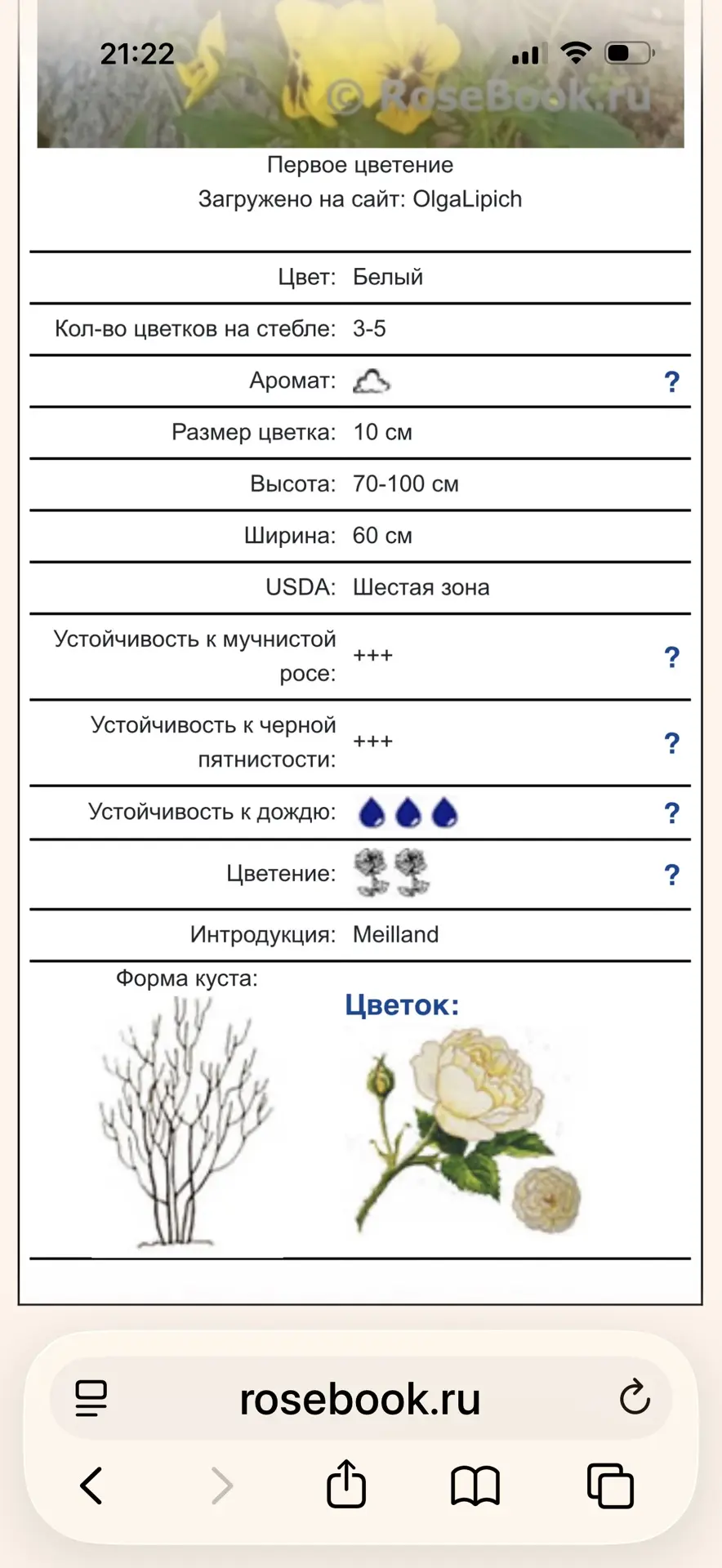 Изображение 2 к публикации «Садовая кухня с Людмилой Кудасовой»