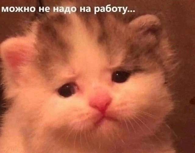 Доброе утро  🙂